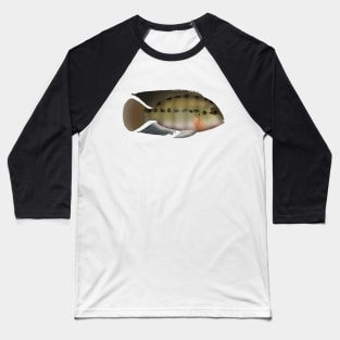 True Parrot Cichlid Baseball T-Shirt